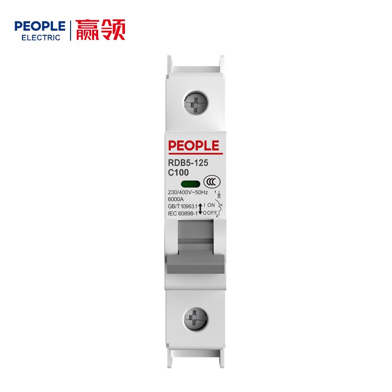 人民电器RDB5-125系列小型断路器 