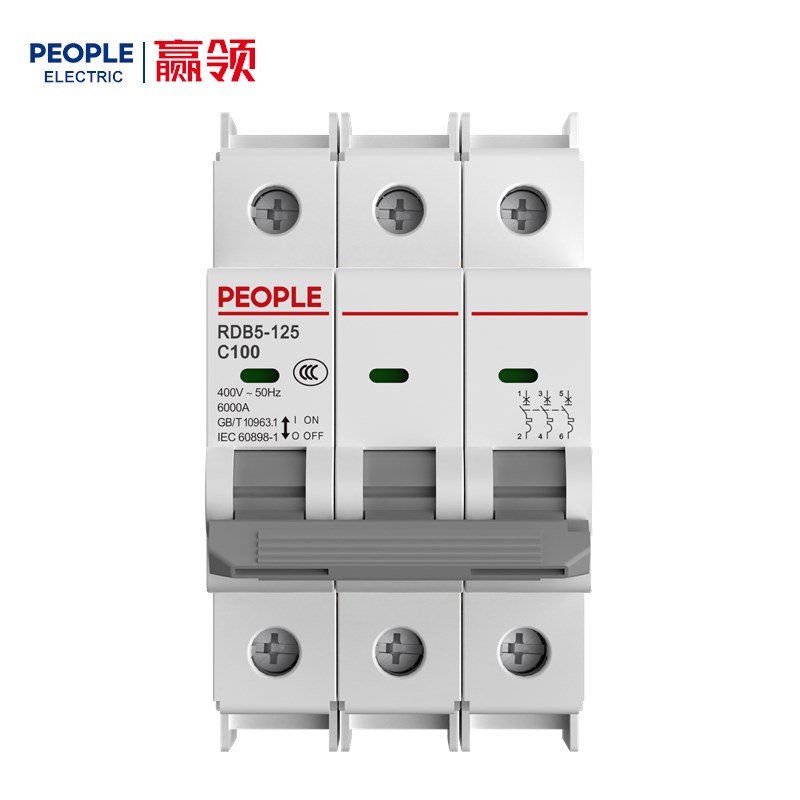 人民电器RDB5-125系列小型断路器 