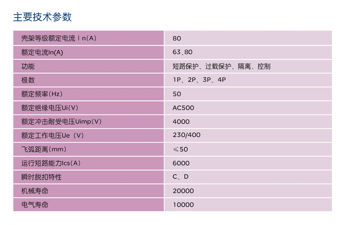 人民电器RDB5-80系列小型断路器 