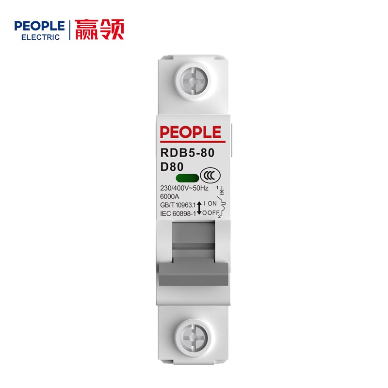 人民电器RDB5-80系列小型断路器 