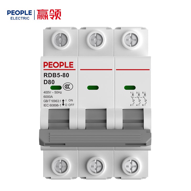人民电器RDB5-80系列小型断路器 